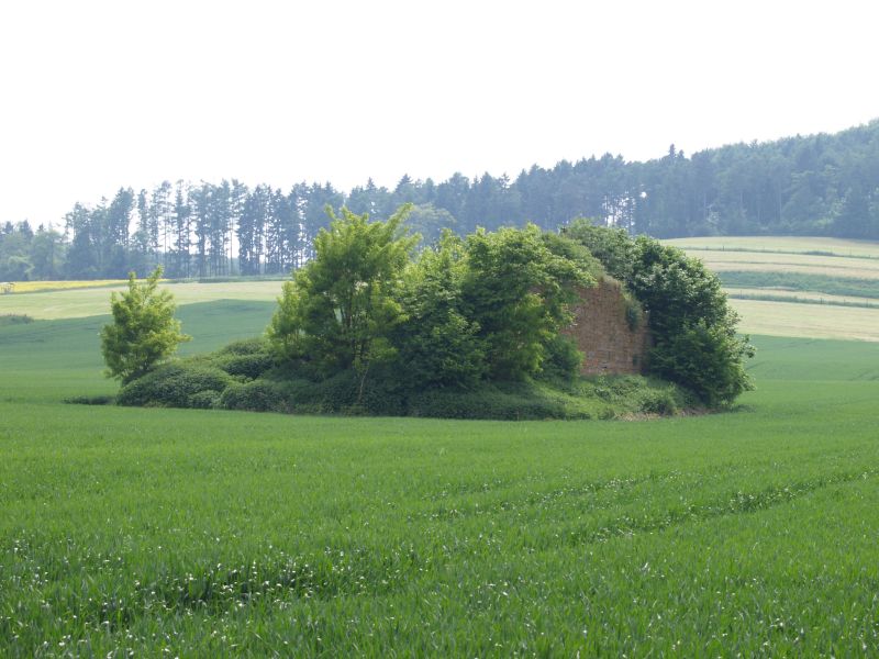 Burg Asseln