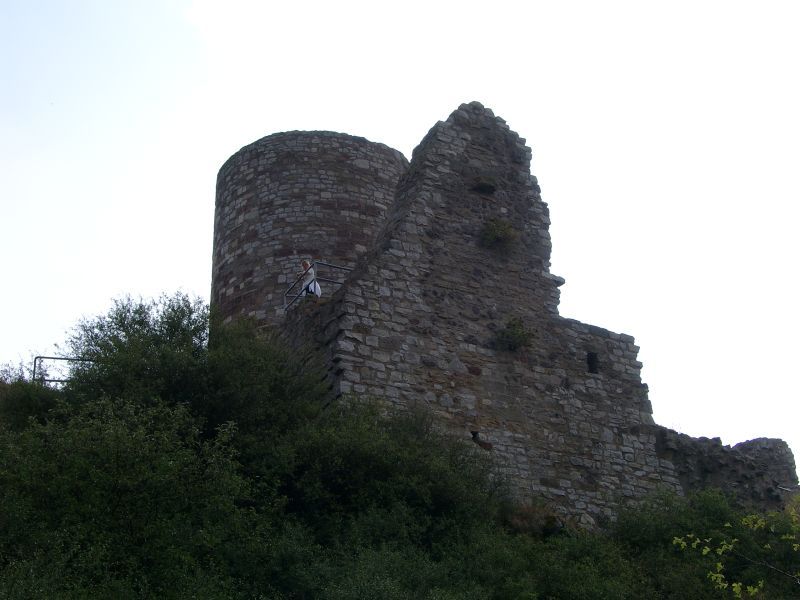 Burg Desenberg