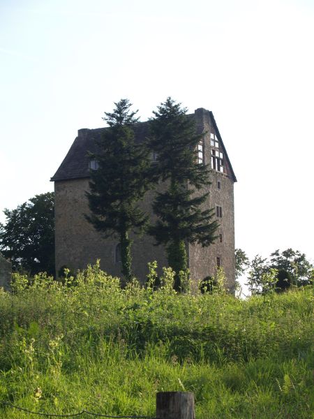 Burg Oldenburg