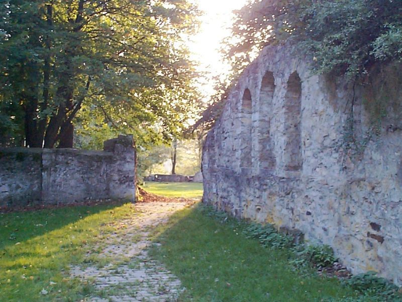 Burg Ringelstein