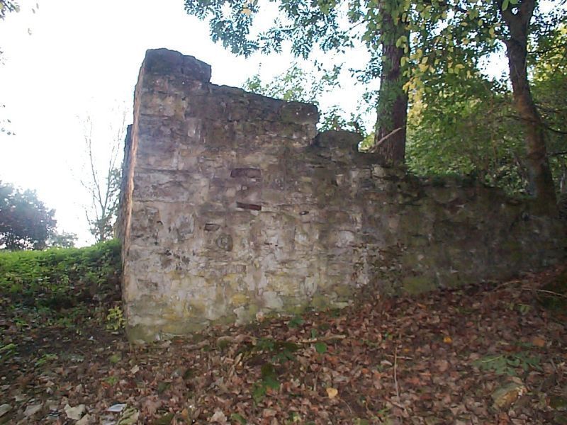 Burg Ringelstein