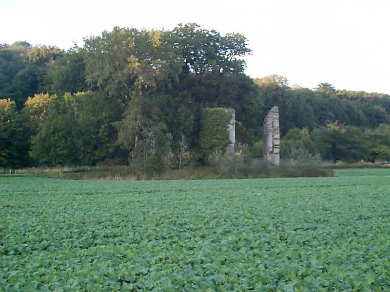 Burgruine Niederburg