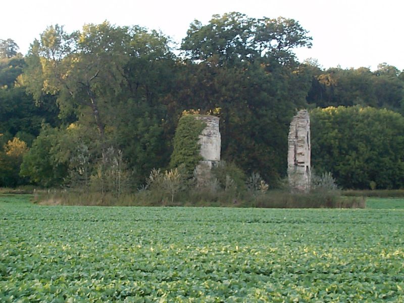 Burgruine Niederburg