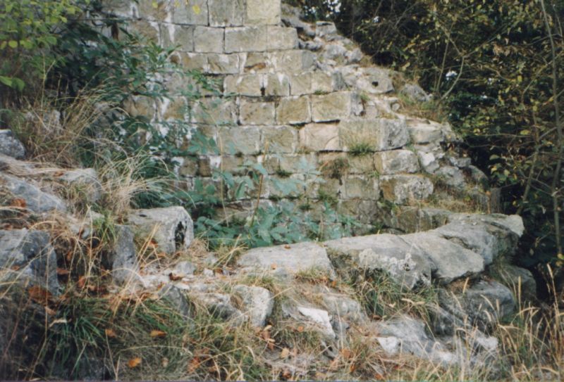 Ruine Falkenburg