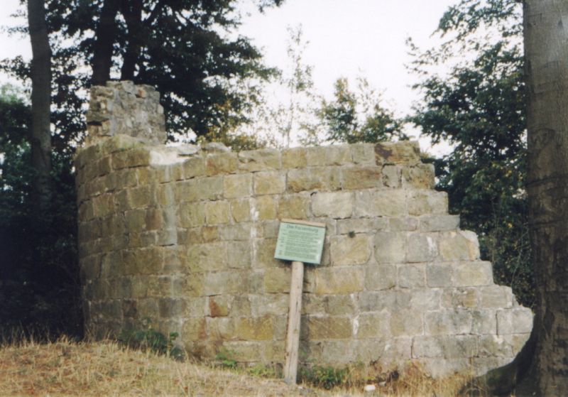 Ruine Falkenburg