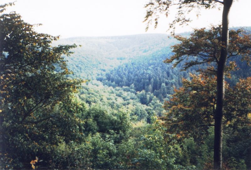 Ruine Falkenburg