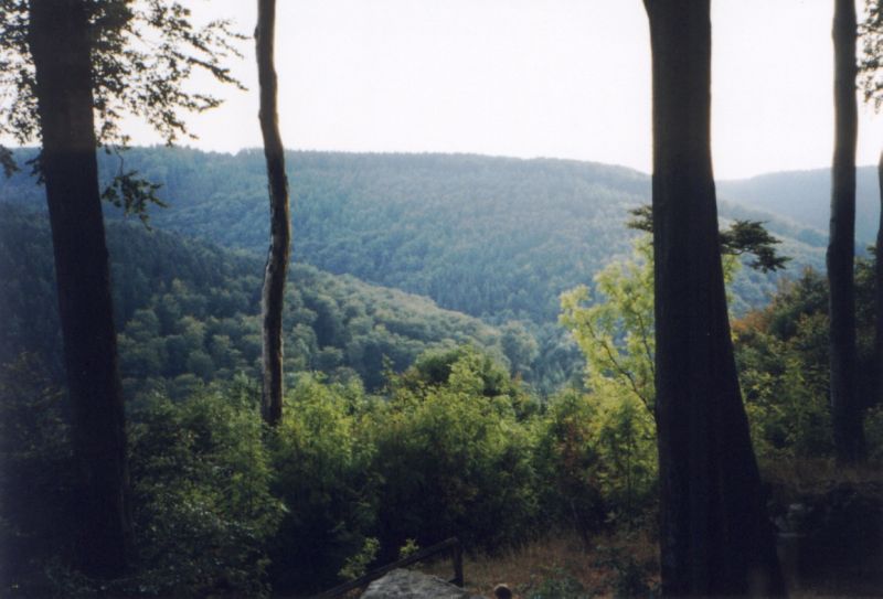 Ruine Falkenburg