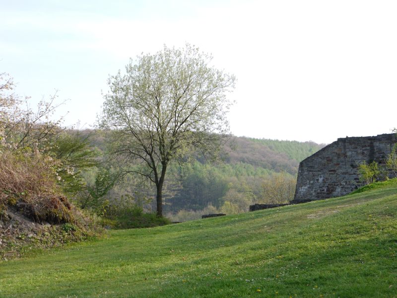 Ruine Isenburg