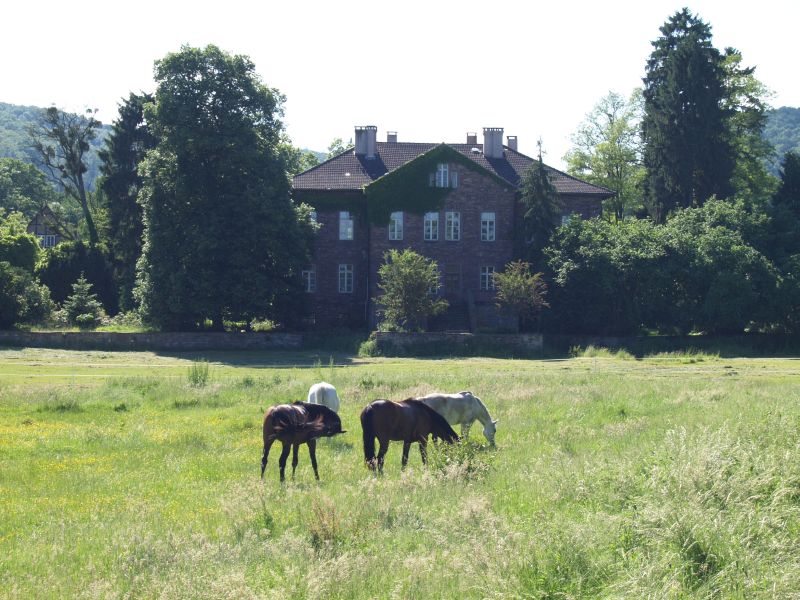 Schloss Maygadessen