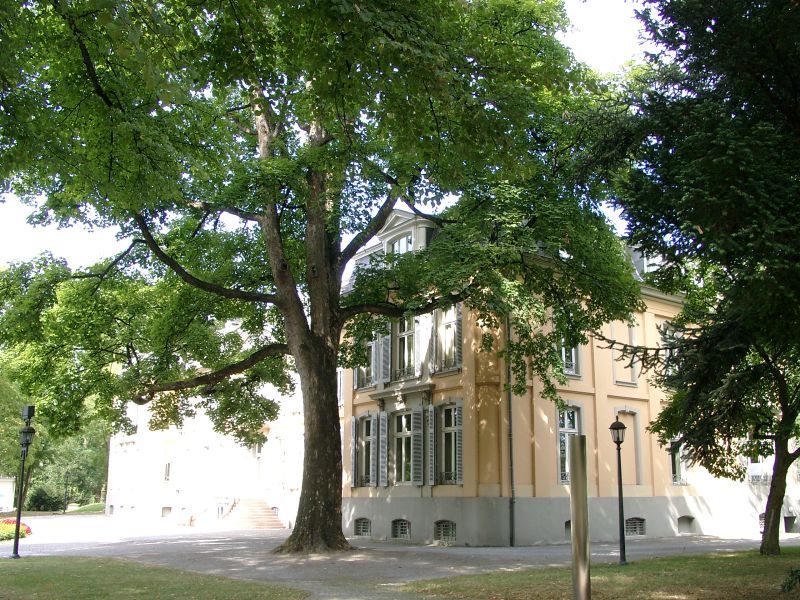 Schloss Morsbroich