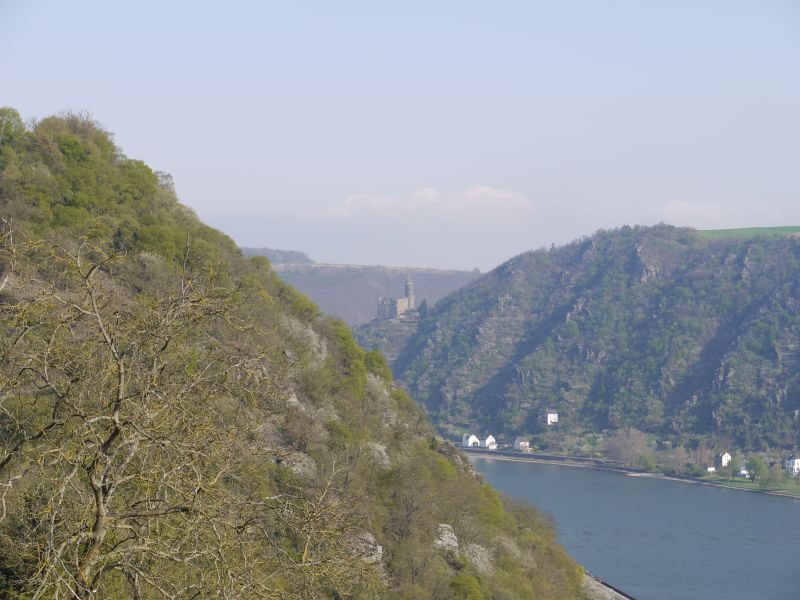 Burg Rheinfels