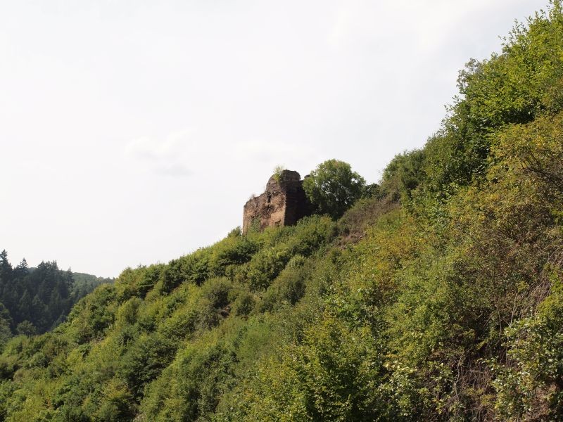 Burg Trutzeltz