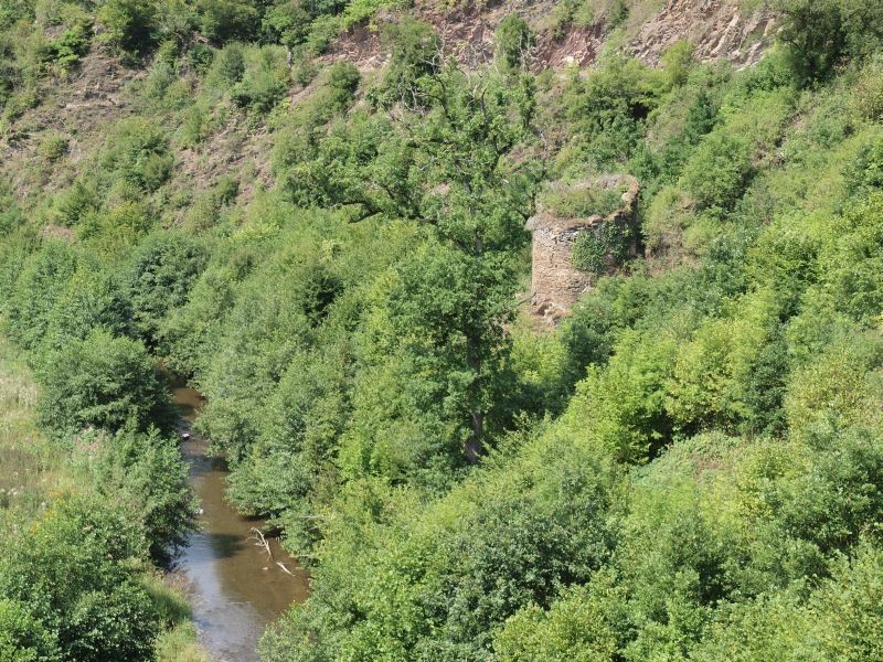 Burg Trutzeltz