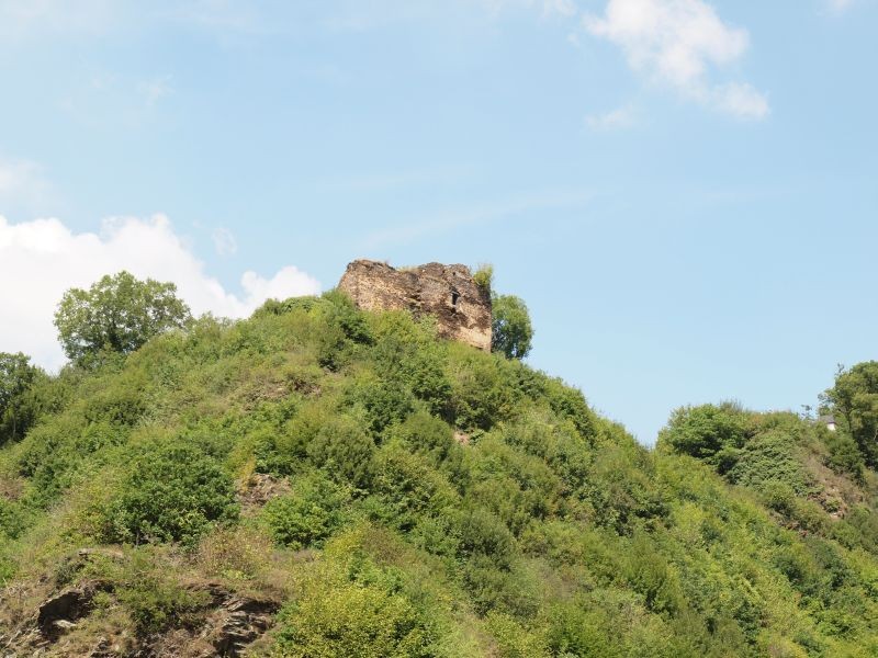 Burg Trutzeltz