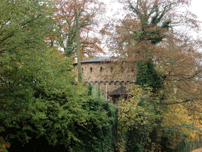 Fort Helfenstein