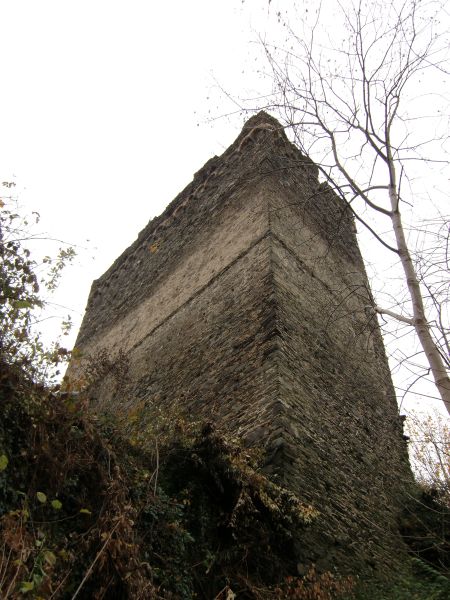Ruine Altwied