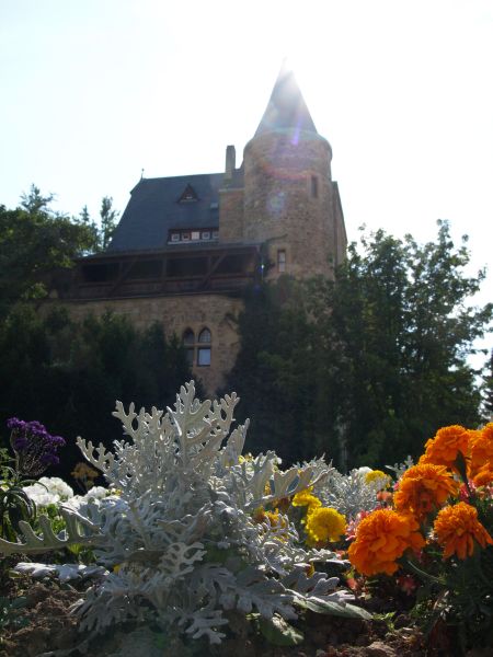 Schloss Alzey