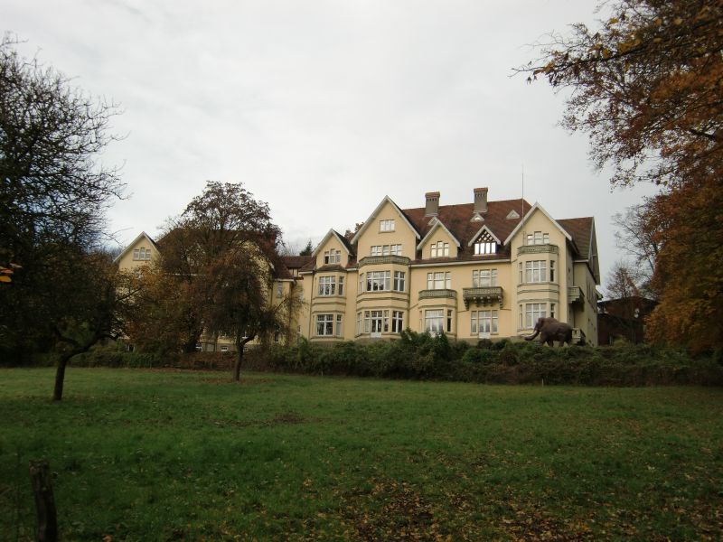 Schloss Monrepos