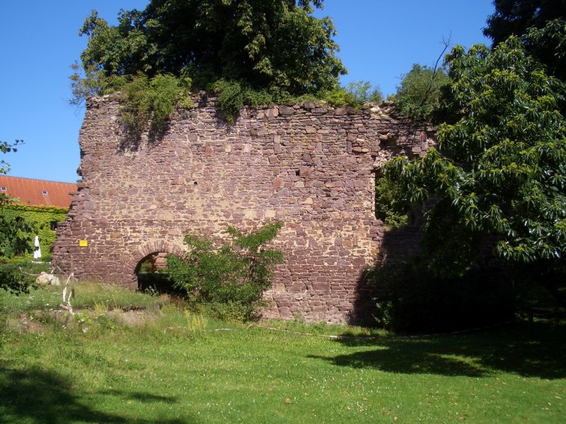 Burg Veltheimsburg