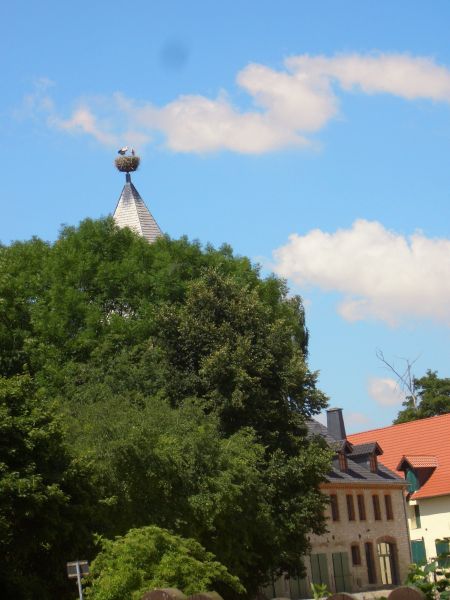 Schloss Emersleben