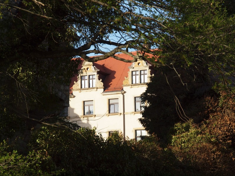 Schloss Neugattersleben