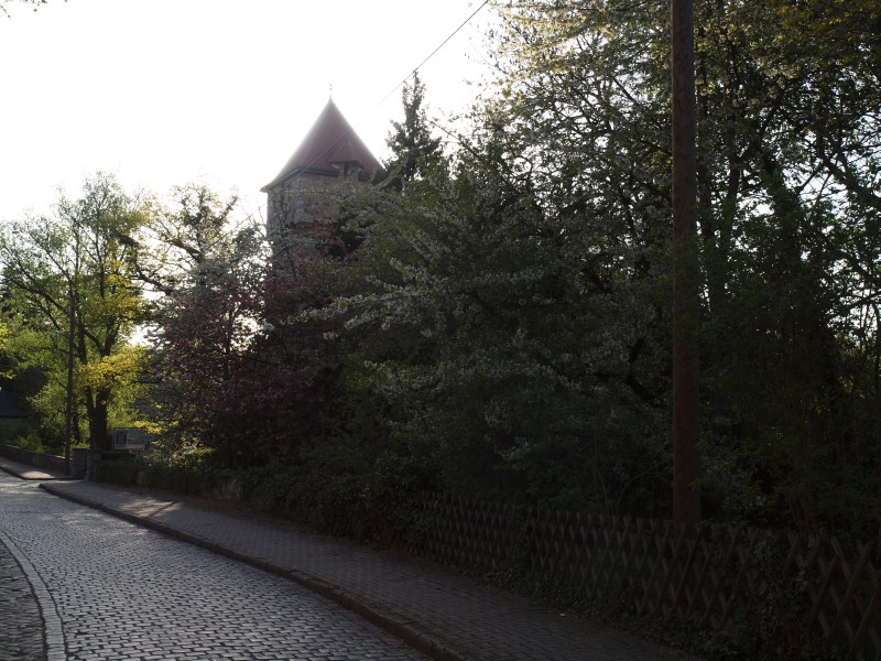 Schloss Neugattersleben