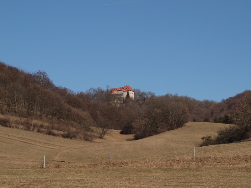 Burg Bodenstein