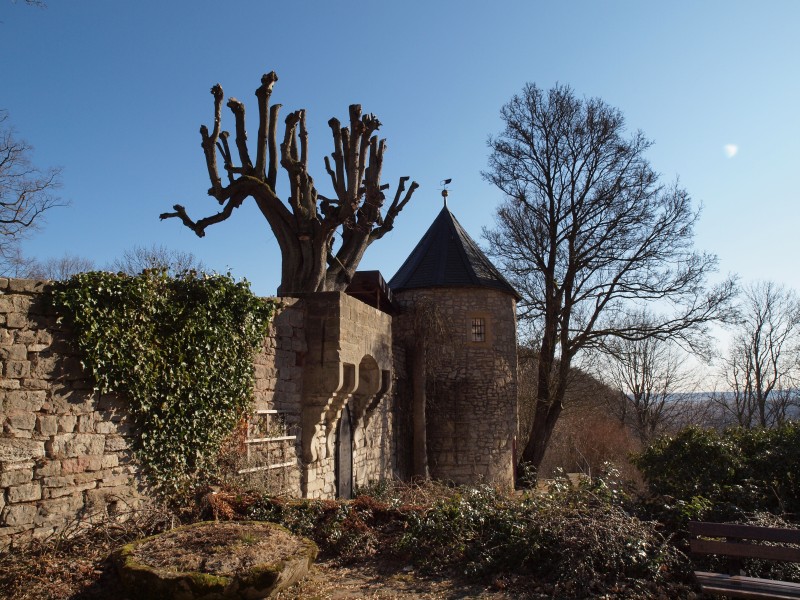 Burg Bodenstein