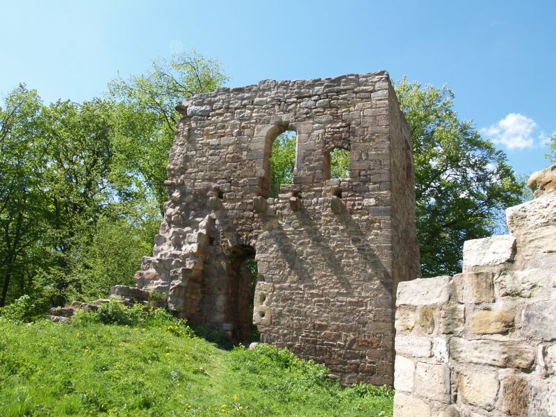 Burg Tannroda